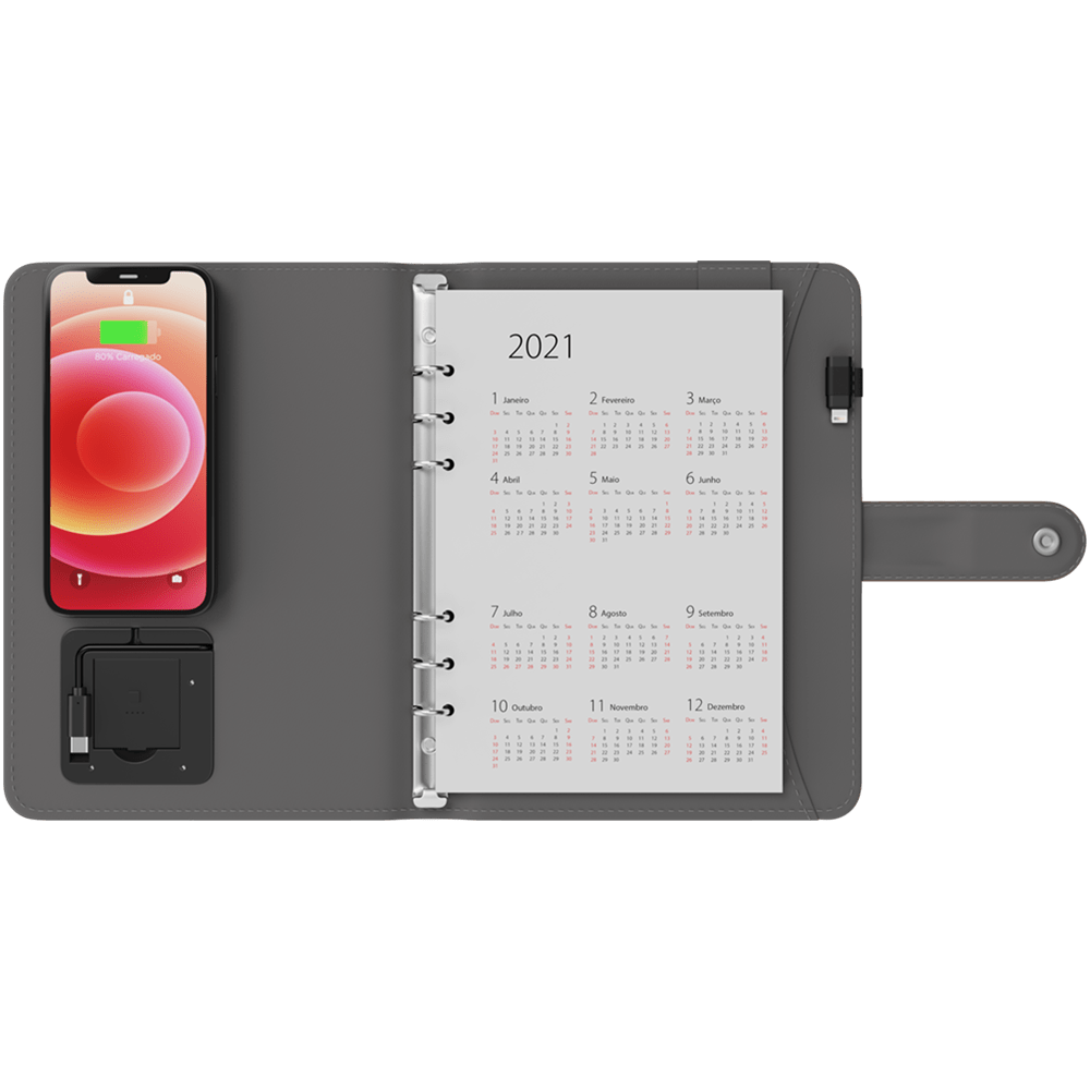 Agenda Planner com Indução - VX Case